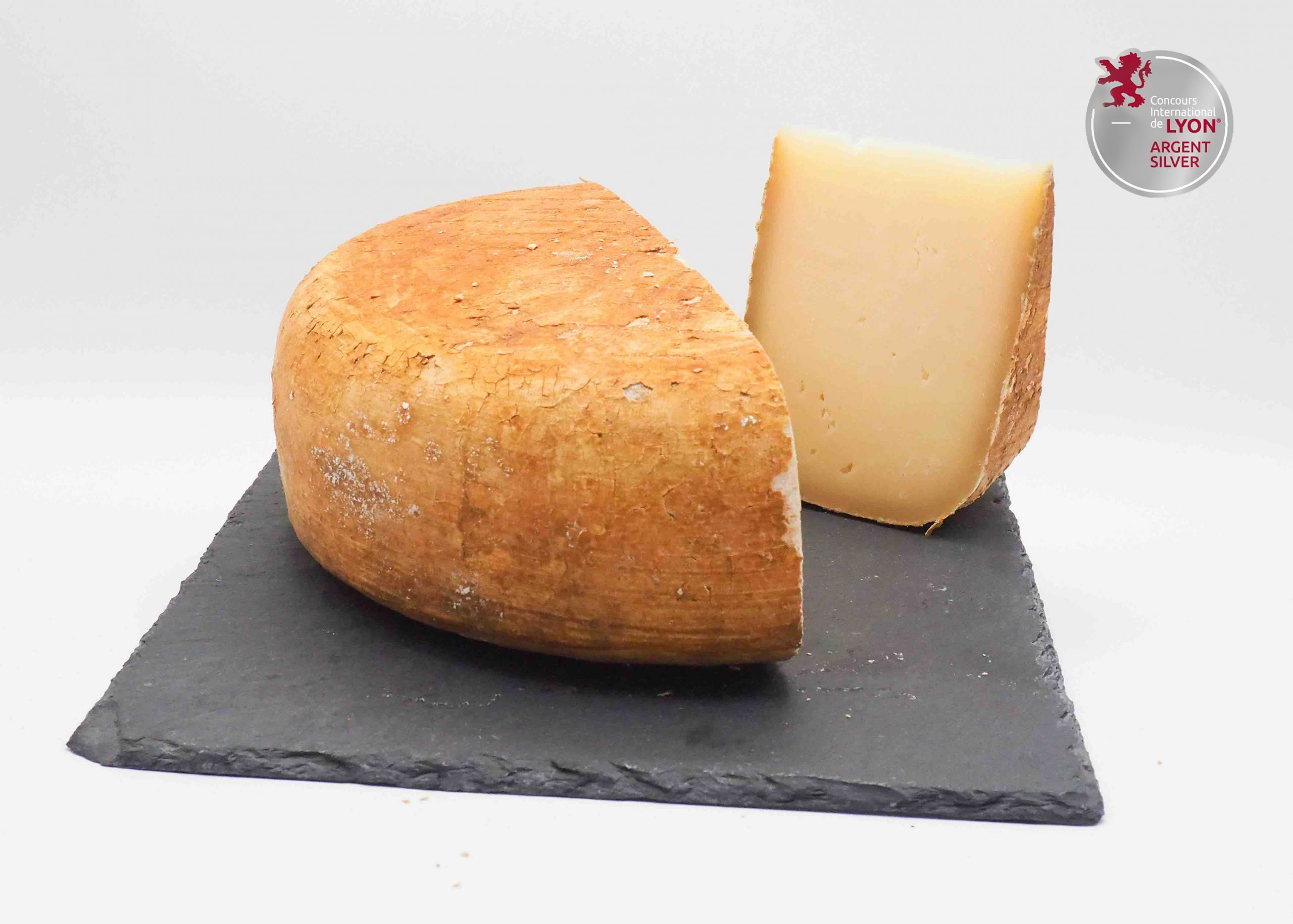 "NAPOLEON" TOMME DES PYRÉNÉES BREBIS VIEUX